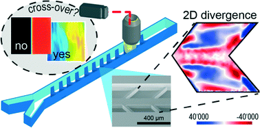 Graphical abstract: Mixing with herringbone-inspired microstructures: overcoming the diffusion limit in co-laminar microfluidic devices