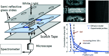 Graphical abstract: Measuring concentration fields in microfluidic channels in situ with a Fabry–Perot interferometer