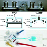 Graphical abstract: 3D-printed microfluidic automation