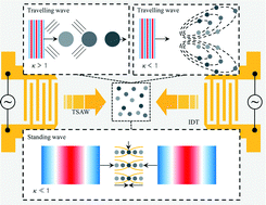 Graphical abstract: Recent advances in microfluidic actuation and micro-object manipulation via surface acoustic waves