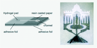 Graphical abstract: Hydrogel-driven paper-based microfluidics
