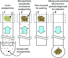 Graphical abstract: Non-contact acoustic capture of microparticles from small plasma volumes