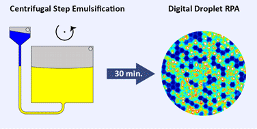 Graphical abstract: Centrifugal step emulsification applied for absolute quantification of nucleic acids by digital droplet RPA