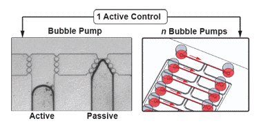 Graphical abstract: Bubble pump: scalable strategy for in-plane liquid routing