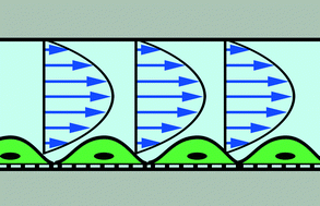 Graphical abstract: Flow-induced stress on adherent cells in microfluidic devices