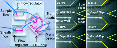 Graphical abstract: A passive flow regulator with low threshold pressure for high-throughput inertial isolation of microbeads
