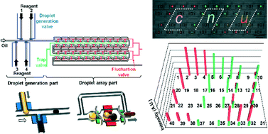 Graphical abstract: A programmable microfluidic static droplet array for droplet generation, transportation, fusion, storage, and retrieval