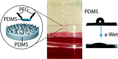 Graphical abstract: One-step in-mould modification of PDMS surfaces and its application in the fabrication of self-driven microfluidic channels