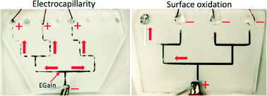Graphical abstract: Steering liquid metal flow in microchannels using low voltages