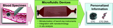 Graphical abstract: Microfluidic devices to enrich and isolate circulating tumor cells