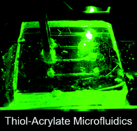 Graphical abstract: Microfluidics using a thiol–acrylate resin for fluorescence-based pathogen detection assays