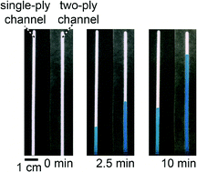 Graphical abstract: Two-ply channels for faster wicking in paper-based microfluidic devices