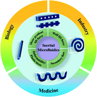Graphical abstract: Fundamentals and applications of inertial microfluidics: a review