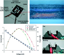 Graphical abstract: Paper-based energy harvesting from salinity gradients