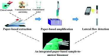 Graphical abstract: An integrated paper-based sample-to-answer biosensor for nucleic acid testing at the point of care