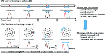 Graphical abstract: A miniature closed-loop gas chromatography system