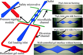 Graphical abstract: An on-chip microfluidic pressure regulator that facilitates reproducible loading of cells and hydrogels into microphysiological system platforms