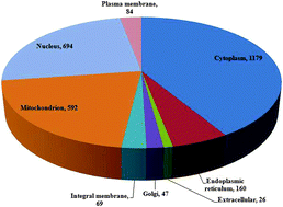 Graphical abstract: Characterization of proteins in S. cerevisiae with subcellular localizations