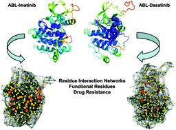Graphical abstract: Small-world networks of residue interactions in the Abl kinase complexes with cancer drugs: topology of allosteric communication pathways can determine drug resistance effects