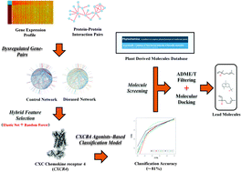 Graphical abstract: A systematic approach to prioritize drug targets using machine learning, a molecular descriptor-based classification model, and high-throughput screening of plant derived molecules: a case study in oral cancer