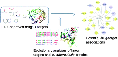 Graphical abstract: Recognizing drug targets using evolutionary information: implications for repurposing FDA-approved drugs against Mycobacterium tuberculosis H37Rv
