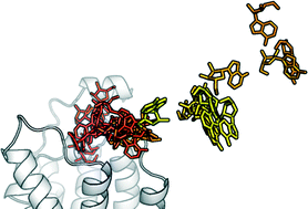 Graphical abstract: Exploring the recognition pathway at the human A2A adenosine receptor of the endogenous agonist adenosine using supervised molecular dynamics simulations