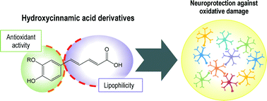 Graphical abstract: Exploring cinnamic acid scaffold: development of promising neuroprotective lipophilic antioxidants