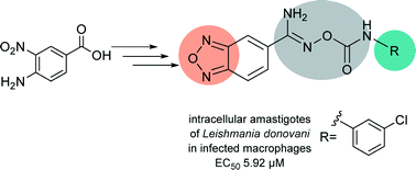 Graphical abstract: Synthesis of carboxyimidamide-substituted benzo[c][1,2,5]oxadiazoles and their analogs, and evaluation of biological activity against Leishmania donovani