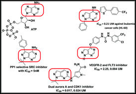 Graphical abstract: Synthesis and in vitro antiproliferative activity of novel pyrazolo[3,4-d]pyrimidine derivatives