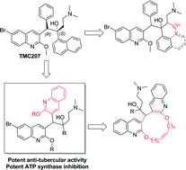 Graphical abstract: Synthesis and anti-tubercular activity of conformationally-constrained and bisquinoline analogs of TMC207