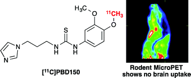 Graphical abstract: Synthesis and evaluation of [11C]PBD150, a radiolabeled glutaminyl cyclase inhibitor for the potential detection of Alzheimer's disease prior to amyloid β aggregation