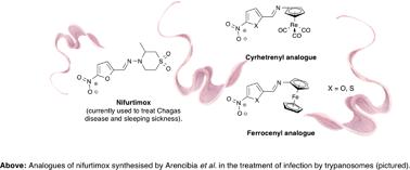 Graphical abstract: Medicinal organometallic chemistry – an emerging strategy for the treatment of neglected tropical diseases