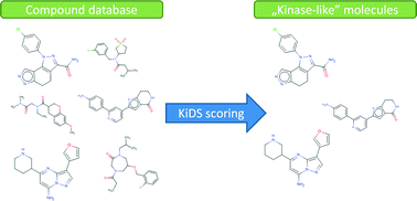 Graphical abstract: Property-based characterization of kinase-like ligand space for library design and virtual screening