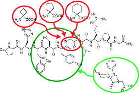 Graphical abstract: Novel peptidomimetics related to gonadotropin-releasing hormone (GnRH)