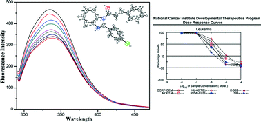 Graphical abstract: 1-[(2E)-3-Phenylprop-2-enoyl]-1H-benzimidazoles as anticancer agents: synthesis, crystal structure analysis and binding studies of the most potent anticancer molecule with serum albumin