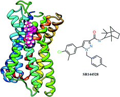 Graphical abstract: Ligand-based homology modelling of the human CB2 receptor SR144528 antagonist binding site: a computational approach to explore the 1,5-diaryl pyrazole scaffold