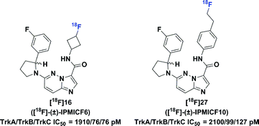 Graphical abstract: Development of subnanomolar radiofluorinated (2-pyrrolidin-1-yl)imidazo[1,2-b]pyridazine pan-Trk inhibitors as candidate PET imaging probes