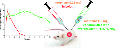 Graphical abstract: Injectable peptide hydrogels for controlled-release of opioids