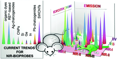 Graphical abstract: Exploiting the biological windows: current perspectives on fluorescent bioprobes emitting above 1000 nm