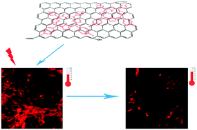 Graphical abstract: Efficient photothermal therapy of brain cancer through porphyrin functionalized graphene oxide