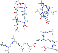 Graphical abstract: Structural characterization of folded and extended conformations in peptides containing γ amino acids with proteinogenic side chains: crystal structures of γn, (αγ)n and γγδγ sequences