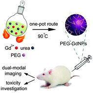 Graphical abstract: One-pot and facile synthesis of anti-biofouling polymer-modified gadolinium-based nanoprobes for dual-modal imaging and long-lasting tracking