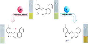 Graphical abstract: A selective colorimetric chemosensor with an electron-withdrawing group for multi-analytes CN− and F−
