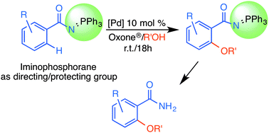Graphical abstract: Pd-catalysed ortho-alkoxylation of benzamides N-protected with an iminophosphorane functionality