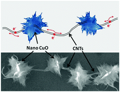 Graphical abstract: Functionalization of carbon nanotubes via Birch reduction chemistry for selective loading of CuO nanosheets