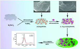 Graphical abstract: The application of l-tryptophan functionalized graphene-supported platinum nanoparticles for chiral recognition of DOPA enantiomers
