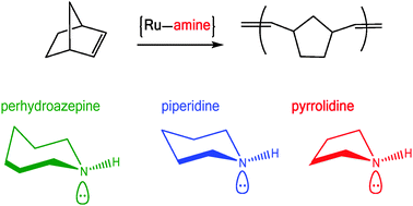 Graphical abstract: The ring size of cyclic amines as a relevant feature in the activity of Ru-based complexes for ROMP