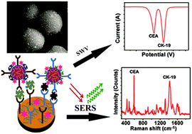 Graphical abstract: Multiplexing determination of lung cancer biomarkers using electrochemical and surface-enhanced Raman spectroscopic techniques