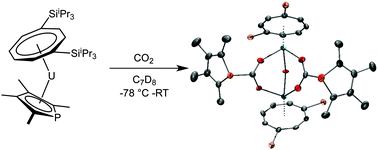 Graphical abstract: Activation of carbon dioxide by new mixed sandwich uranium(iii) complexes incorporating cyclooctatetraenyl and pyrrolide, phospholide, or arsolide ligands