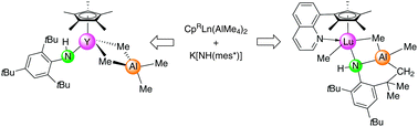 Graphical abstract: Reactivity of halfsandwich rare-earth metal methylaluminates toward potassium (2,4,6-tri-tert-butylphenyl)amide and 1-adamantylamine